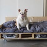 DIY Pallet Dog Beds